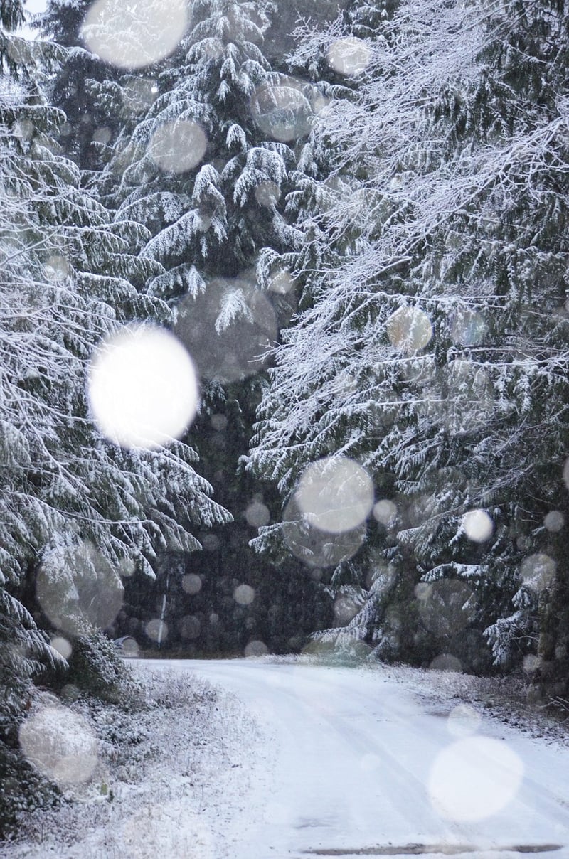 Magical Wonderland