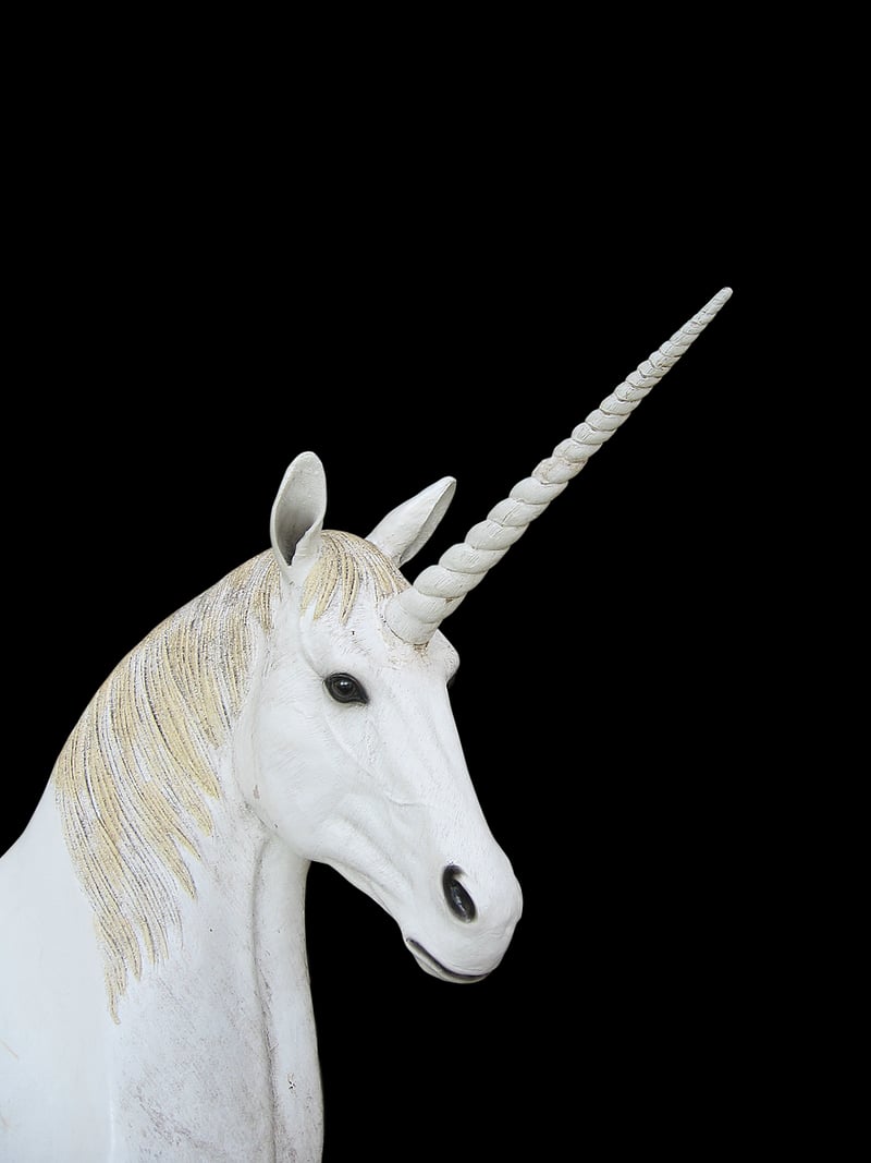 Unicorn Elegance