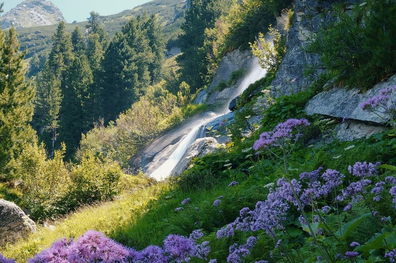 Whimsical Waterfalls